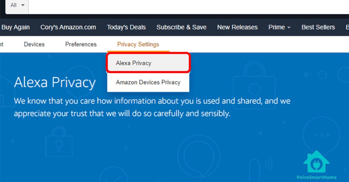 5 Alexa Privacy Settings [Picture Guide]
